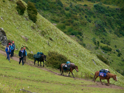 horses haul-goods-through-the-oriental-alps