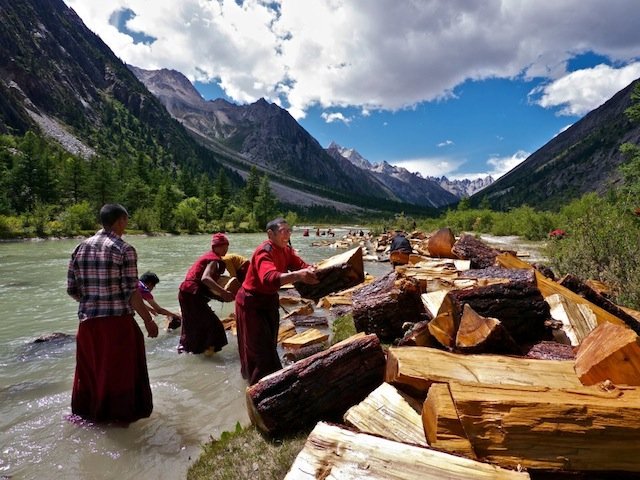 tibetan-monks-throw-logs