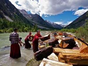 tibetan-monks-throw-logs